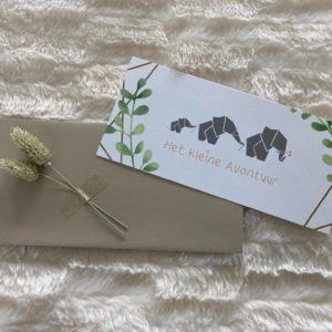 Cadeaubon babyspa