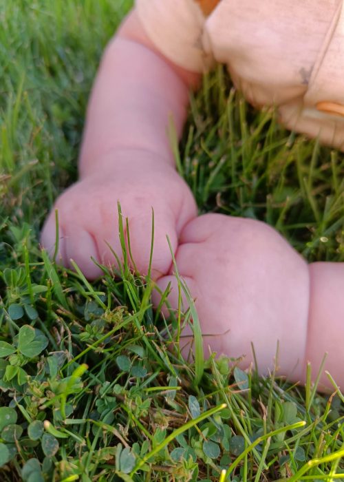 Groen geluk